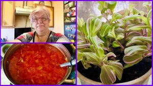 #1-23.12.25 🎄МОШЕННИКИ НЕ ДРЕМЛЮТ 🎄ГОТОВЛЮ И БОЛТАЮ 🎄ПЕРЕСАДИЛА ЦВЕТОК🎄