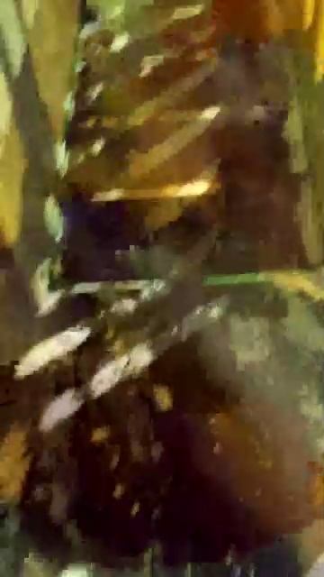 вася смотреть онлайн