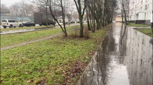 22 Декабря 2025 год. Совсем не Новогодняя погода в Москве. 🚶♂️Прогулка по Алтуфьевскому заказнику.