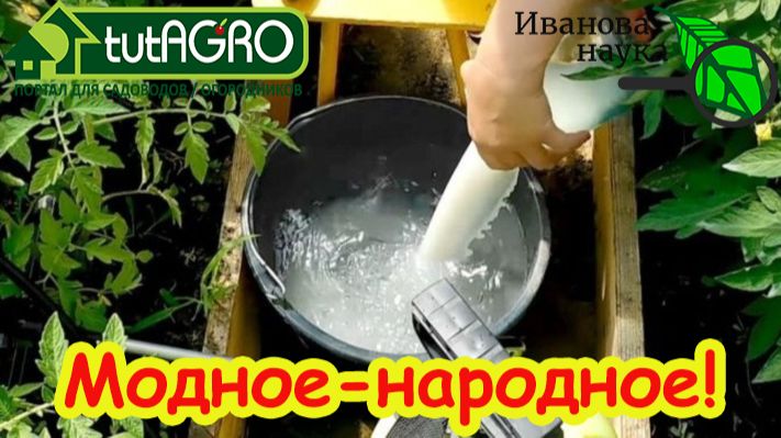 С этим домашним средством о вредителях забудьте навсегда! смотреть онлайн