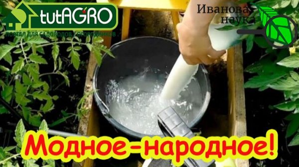 С этим домашним средством о вредителях забудьте навсегда!