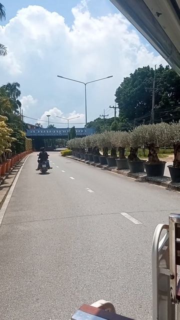 Сколько садов в одном парке? Бесконечность Nong Nooch на электрокаре: тропики, сады и тишина смотреть онлайн