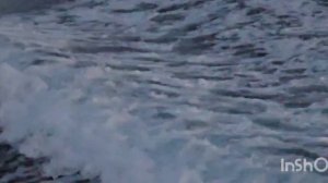 Ролик от Оксаны Владимировны капитана буксира "Добрыня" 
На днях выложу интересный ролик.