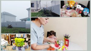 313 БОЛЬШАЯ ЗАКУПКА. ВКЛЮЧИЛИ ОТОПЛЕНИЕ. ДЕЛА ОГОРОДНЫЕ. У НАС ТУМАН  .Живём на юге.