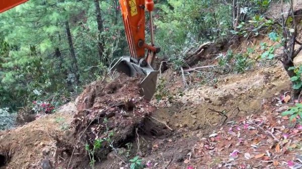 Excavator Backhoe Carving Rocky Mountain Beside Blooming Rhododendrons 🌺 ep-3