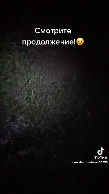 паронормалное смотреть онлайн