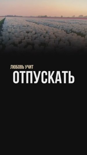 Любовь учит отпускать?