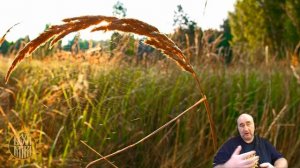 Существует ли в эзотерике безкорыстный обмен.