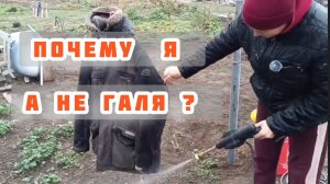 ДЕНЬ МОЙДОДЫРА, КРОЙКИ И ШИТЬЯ.