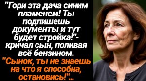 Жизненные Истории/-Гори эта дача синим пламенем! кричал сын, поливая всё бензином.  Ты подпишешь док