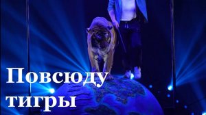 В Луганском цирке стартовала новогодняя программа Ярослава Запашного «Тигры на земле и в воздухе»