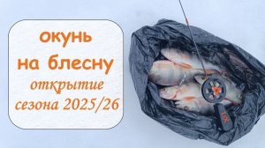 Окунь на блесну. Открытие зимнего сезона 2025/26