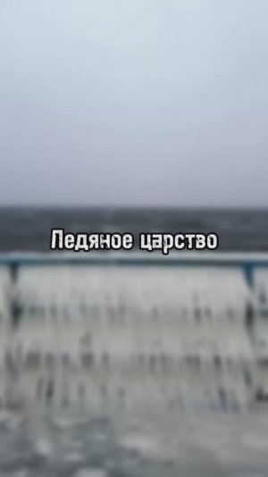 Ледяное царство