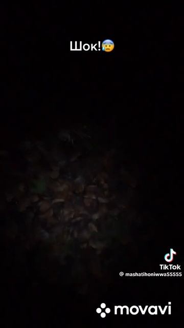 паронормалное 5 смотреть онлайн