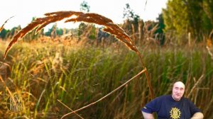 Колесо сансары, карма, судьба, выход из матрицы.