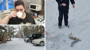 Наша поездка на рыбалку/ Хороший улов/ Утро/ Кофе/ Мою плиту/