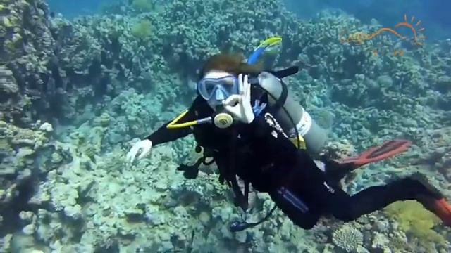 DREAM LAGOON & AQUA PARK RESORT 4* | 316000.ru - лучшие цены на Ваши путешествия! смотреть онлайн