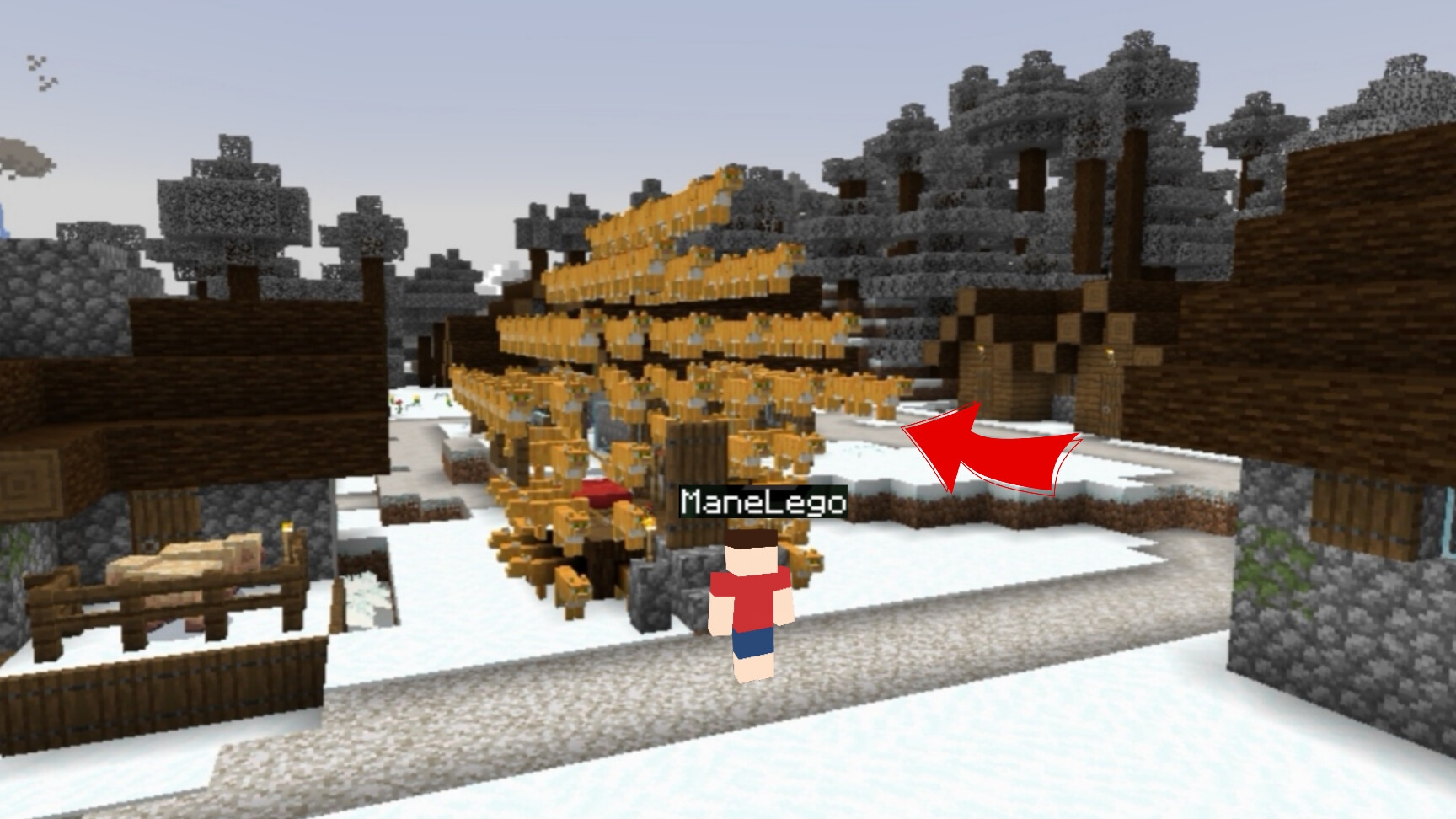 Мой дом стал из кошек в Майнкрафте | ManeLego minecraft