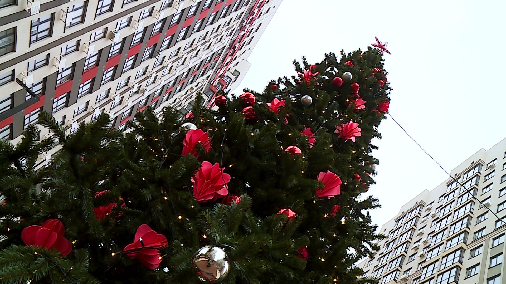 Журналисты телеканала «СвоёТВ» узнали, что мечтают получить на Новый год ставропольцы