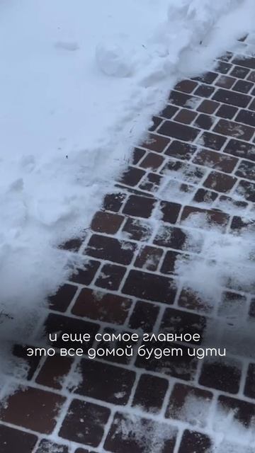 Как провести зиму за городом: с лопатой в руках или с чашкой кофе?🪏 ☕️