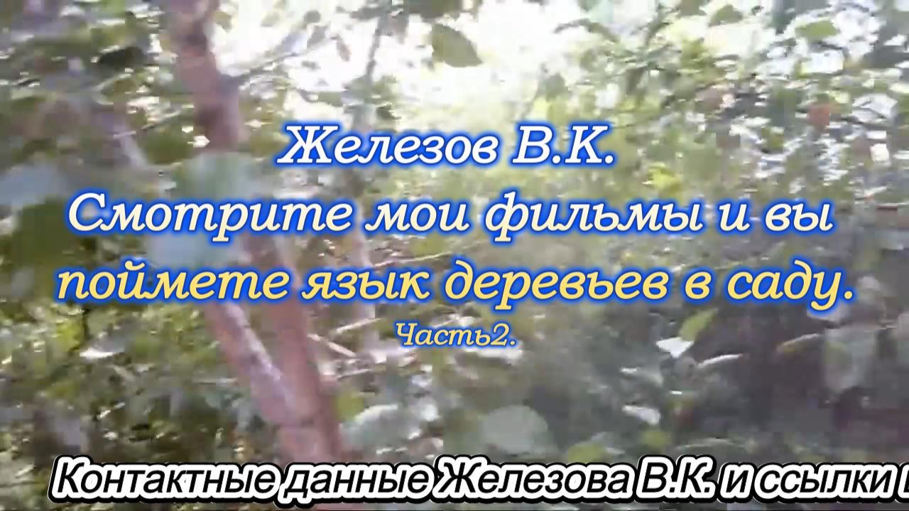 Железов В.К. Смотрите мои фильмы и вы поймете язык деревьев в саду. Часть 2. смотреть онлайн