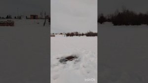 рыбалка на хапуги и косынку