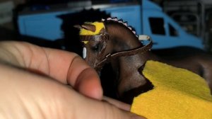 шляйх видео новости шляйх