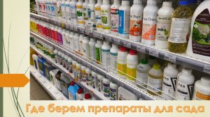 Где берем препараты для сада и винограда. Защита и уход за растениями