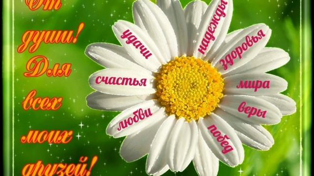 Посвящается моим друзьям! (автор стихов Татьяна Н.)