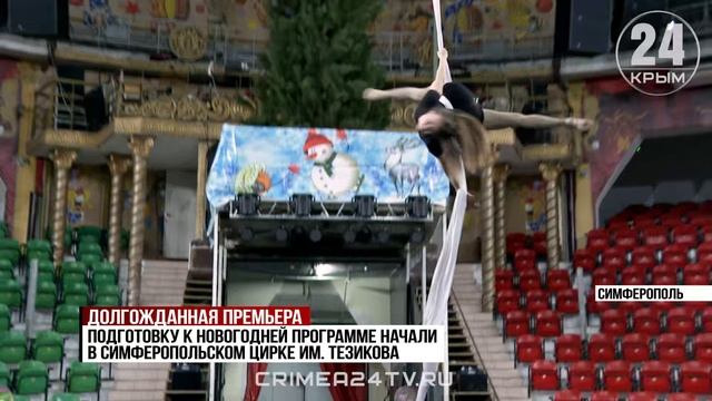 Подготовку к новогодней программе начали в симферопольском цирке смотреть онлайн