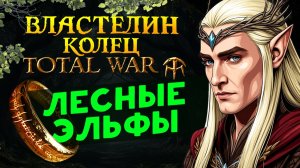 Властелин Колец Total War - прохождение за Лесных Эльфов - мод The Dawnless Days (Rise of Mordor)