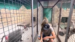 Влад ПСИХАНУЛ и пошел забирать свою курочку Люську у Елисея, он ОЧЕНЬ СОСКУЧИЛСЯ!!!