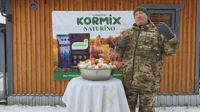 НЕ ЗАМЕНИМАЯ КОРМОВАЯ ДОБАВКА ДЛЯ ОТЛИЧНОЙ ЯЙЦЕНОСКОСТИ КУР!!! 23 ДЕКАБРЯ 2025 ГОД! смотреть онлайн