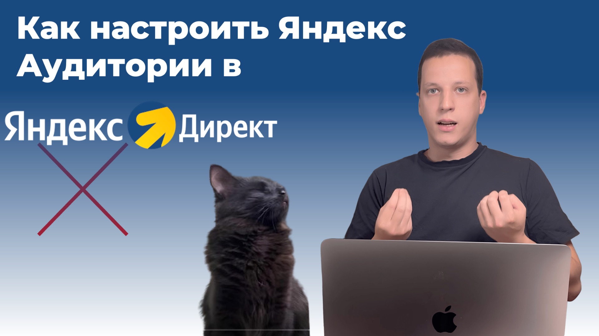Что такое Яндекс Аудитории, как работать с Яндекс Аудиториями - подробно! смотреть онлайн