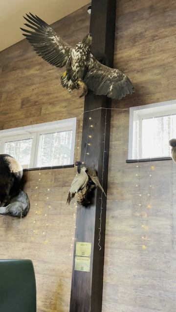 ОХОТНИЧИЙ РЕСТОРАН смотреть онлайн