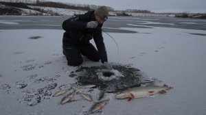 И ПОЧЕМУ Я РАНЬШЕ НА ЭТО НЕ ЛОВИЛ! ПРОСТАЯ, НО ОЧЕНЬ УЛОВИСТАЯ! Рыбалка со льда.