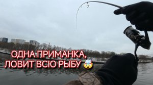ЗИМНИЙ СПИННИНГ. РЫБАЛКА НА МИКРОДЖИГ. ПОЙМАЛ РЕДКУЮ РЫБУ. КАНАЛ ИМЕНИ МОСКВЫ