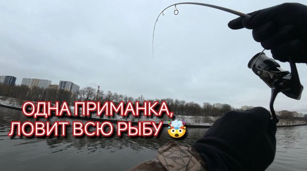 ЗИМНИЙ СПИННИНГ. РЫБАЛКА НА МИКРОДЖИГ. ПОЙМАЛ РЕДКУЮ РЫБУ. КАНАЛ ИМЕНИ МОСКВЫ