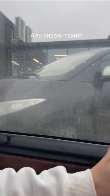 80 уровень автолюбителя😂 А вы видели таких?#авто #автомобили #автоблог #машины #автоблогер смотреть онлайн