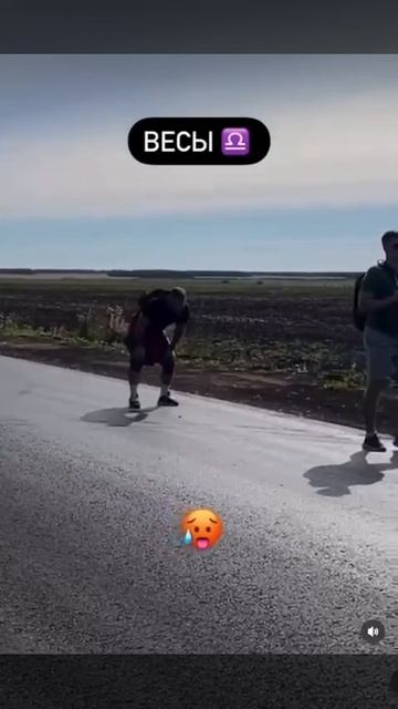 Знаки зодиака в походе