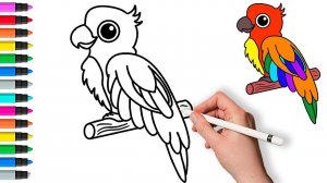 Как нарисовать попугая 🦜 Рисование и раскраски для детей