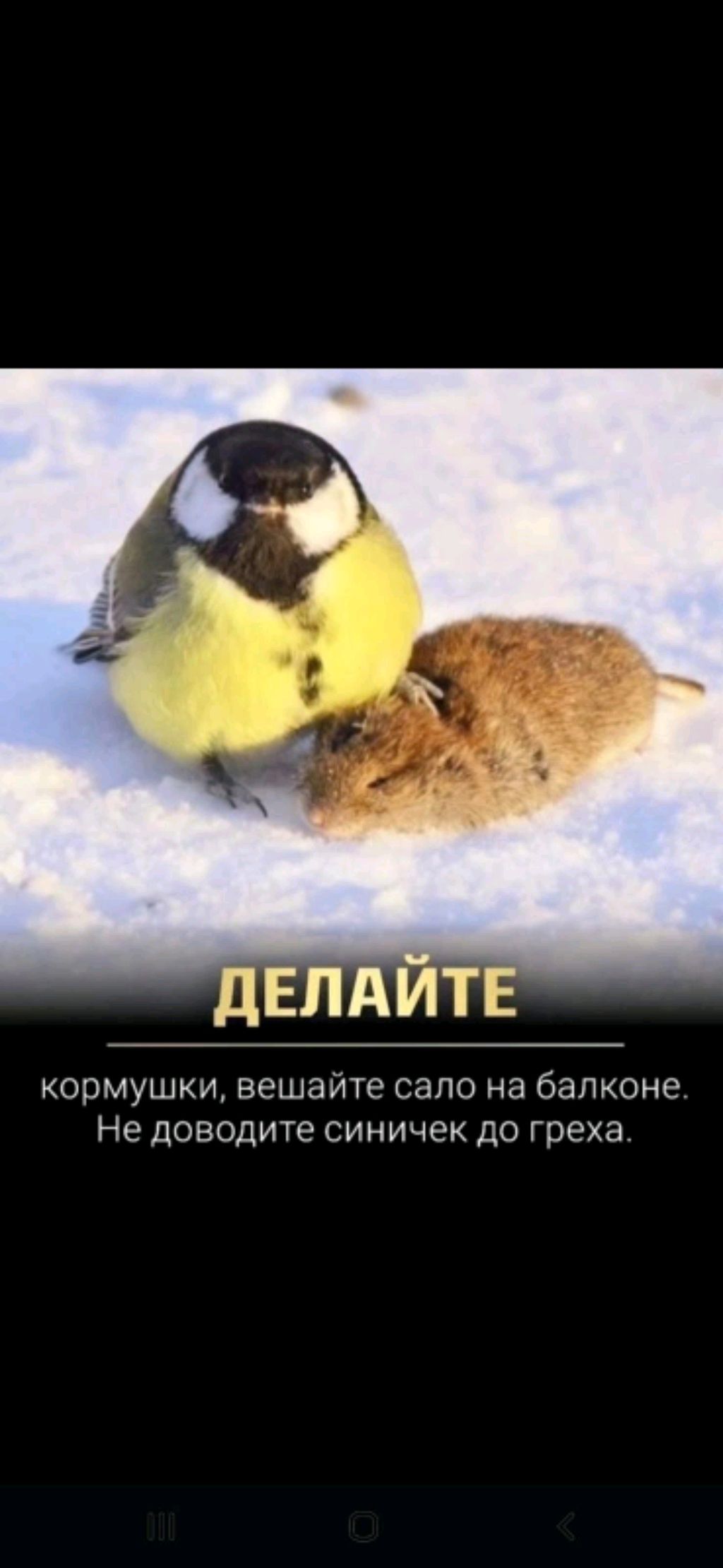 вася смотреть онлайн