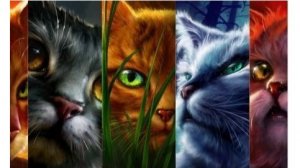 КОТЫ ВОИТЕЛИ\ тик ток\