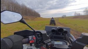 Цирк с конями.