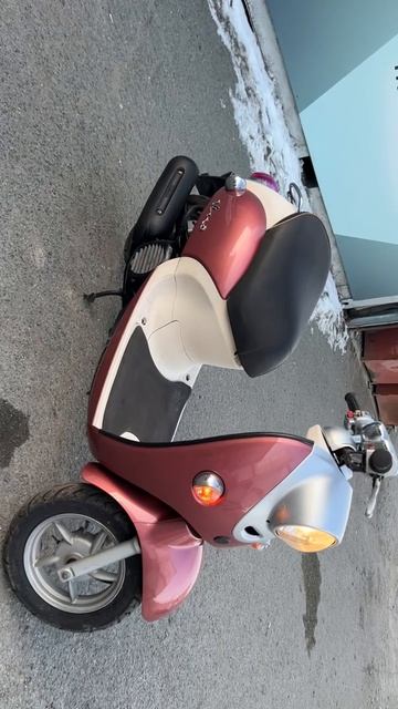 Vino