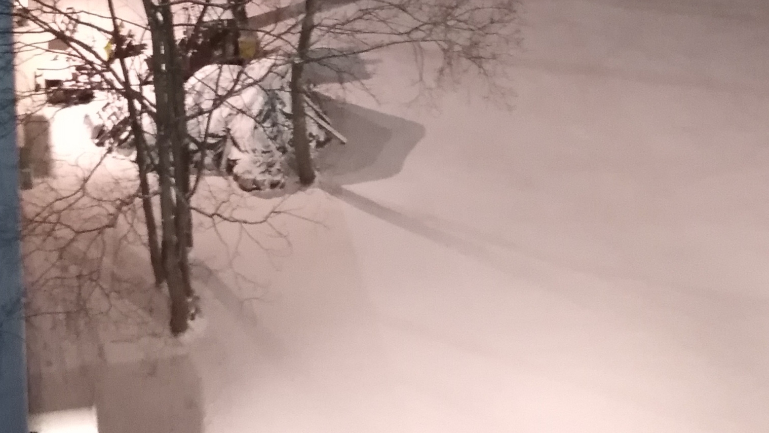 Доброе утро снежный санкт-петербург смотреть онлайн