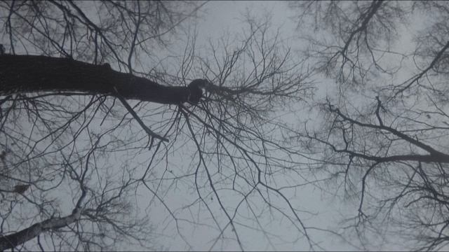 Самара.Зима #mcpro24fps #vivox200pro  #samara #осень #zov #Россия #anamorphic #HohemiSteadyM7