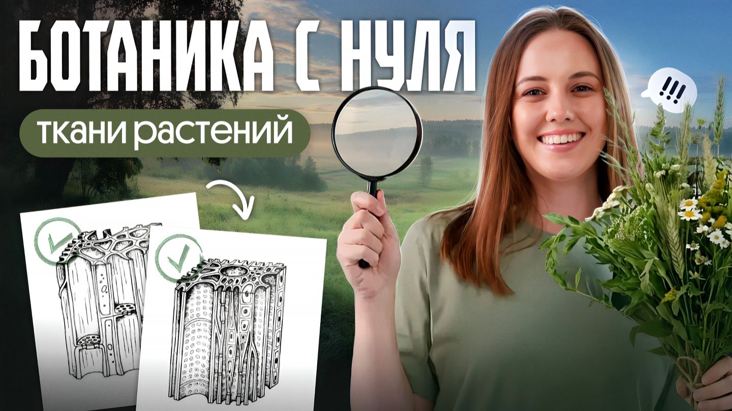 ТКАНИ РАСТЕНИЙ ДЛЯ ЕГЭ ПО БИОЛОГИИ 2026 смотреть онлайн