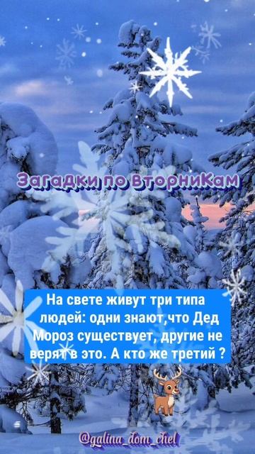 Новогодние загадки