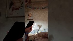 VID_20251222_234305.mp4